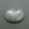 Mother Of Pearl  7.84 Ct Lab Tested